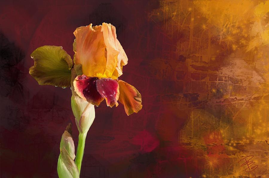 Gold and Red Iris Digital Art by Debra Baldwin