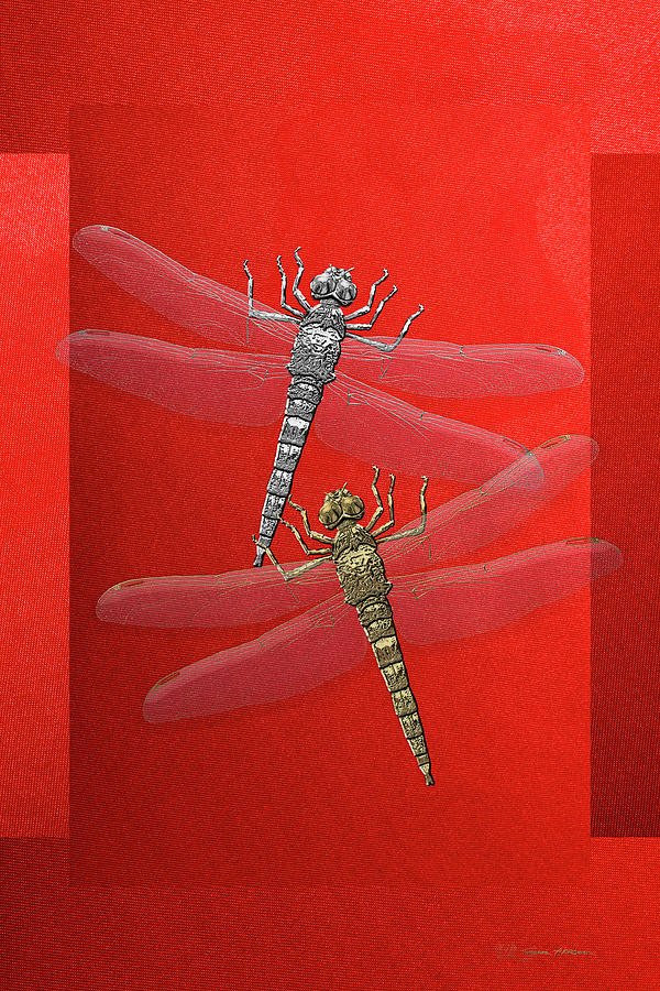 Gold and Silver Dragonflies on Red Canvas Digital Art by Serge Averbukh