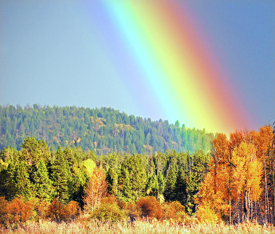 Gold At the End of the Rainbow Photograph by Ted Keller