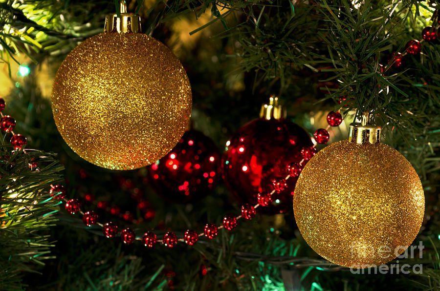Gold Ball Christmas Ornaments on Tree Photograph by Maria Janicki