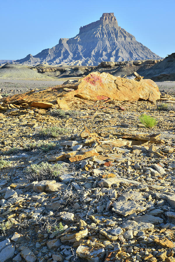 Gold Bar and Factory Butte Photograph by Ray Mathis