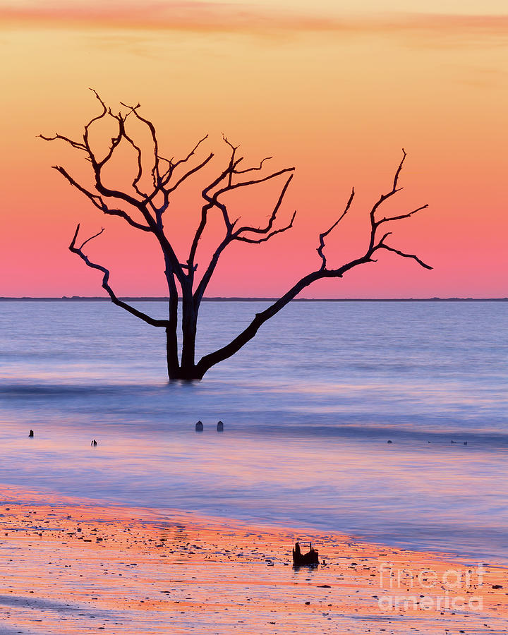 Adventure Photograph - Gold Beach by Steven Dillon Adventure Photograph - Gold Beach by Steven Dillon
