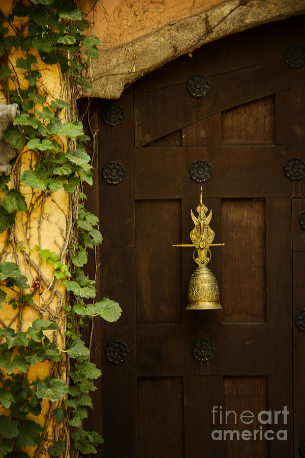 Gold Bell Photograph by Margie Hurwich