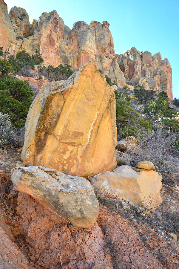 Gold Boulder Photograph by Ray Mathis