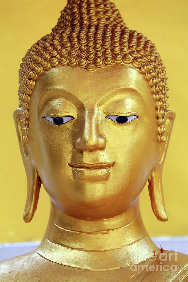 Gold Buddha statue head and face Photograph by Mary Evans Picture ...