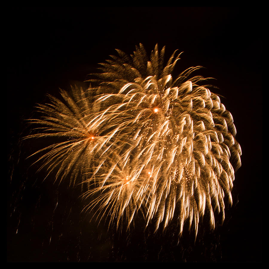 Gold Burst Fireworks Photograph by Bonnie Follett