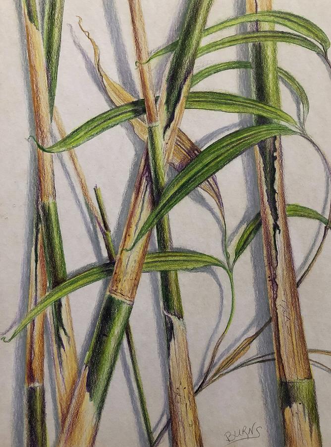 Gold Cloth Bamboo on coffee stained paper Painting by Rand Burns