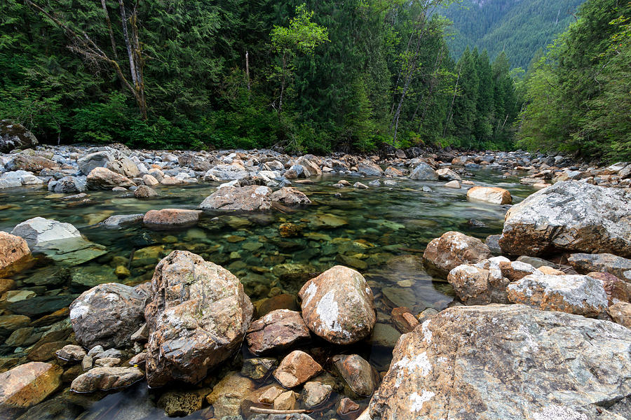 Gold Creek in Golden Ears Park Photograph by Michael Russell