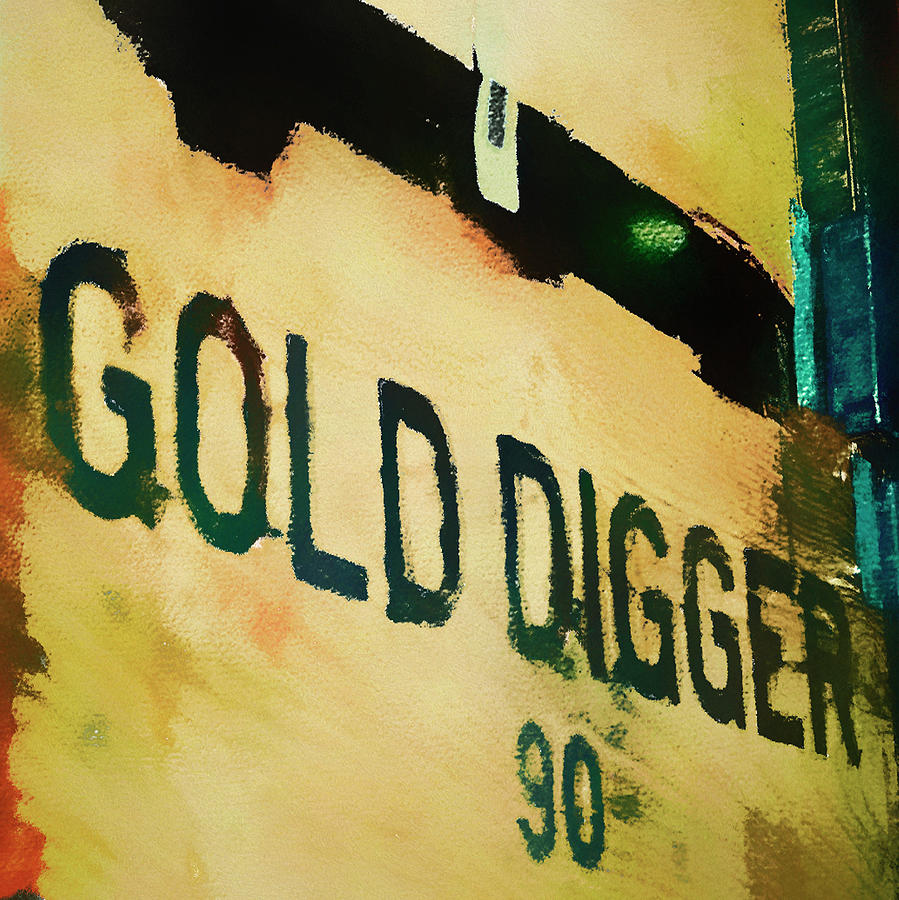 Gold Digger Digital Art by Tonya Doughty