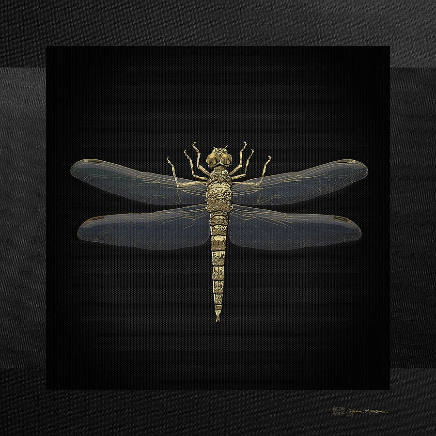Gold Dragonfly on Black CanvasGold Dragonfly on Black Canvas Digital Art by Serge Averbukh