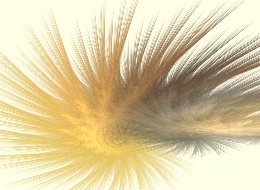 Abstract Digital Art - Gold Feather Plumes by Kim Sy Ok