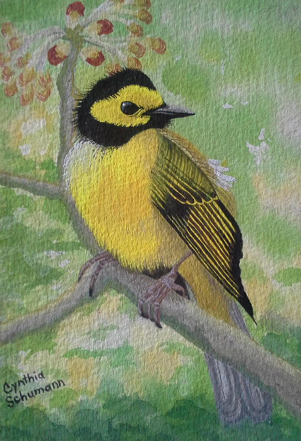 Bird Painting - Gold Finch by Cynthia Schumann