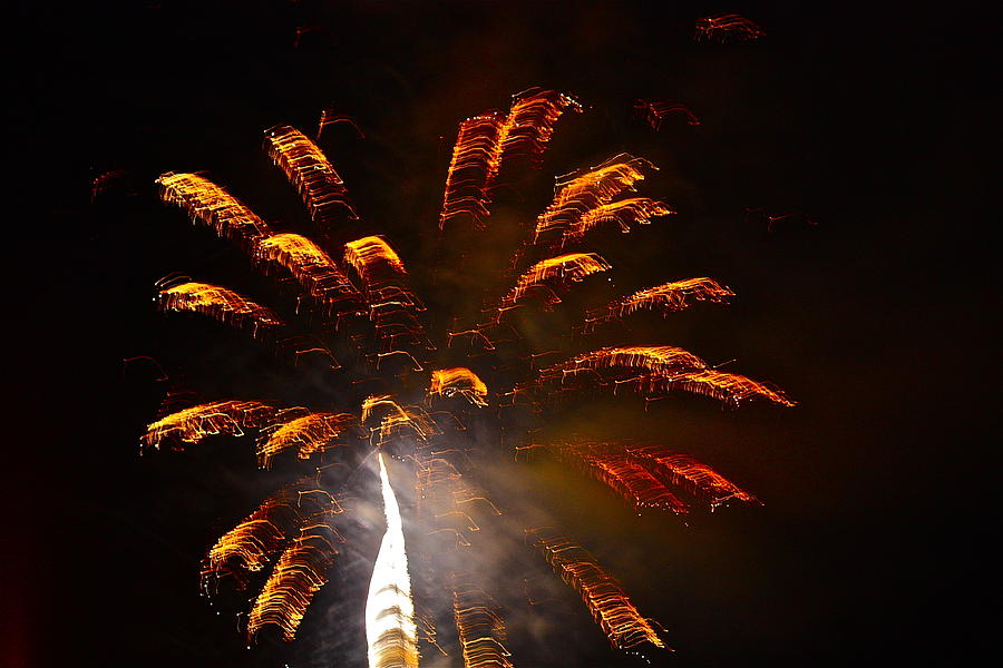 Gold Fireworks Photograph by Diana Hatcher