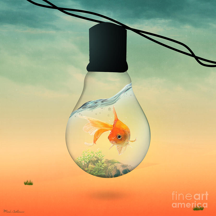 Animal Digital Art - Gold Fish 4 by Mark Ashkenazi