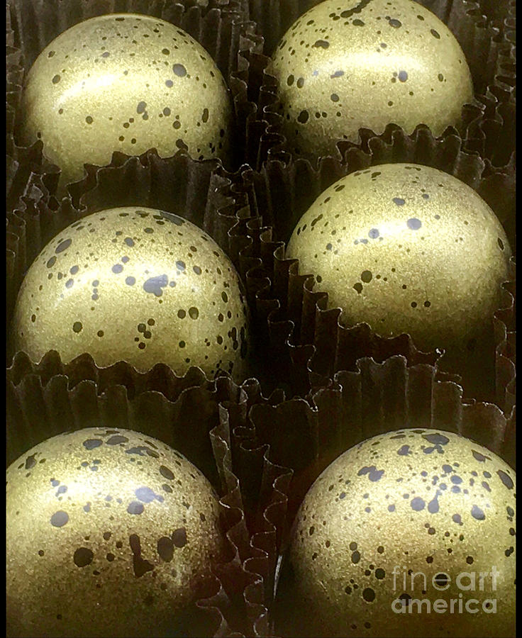 Gold Flecked Chocolats  Photograph by Susan Garren