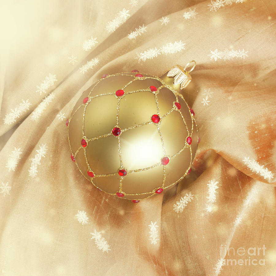 Gold for Christmas Photograph by Anastasy Yarmolovich
