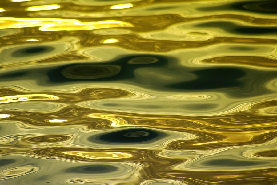 Gold Glimmer Photograph by Florene Welebny