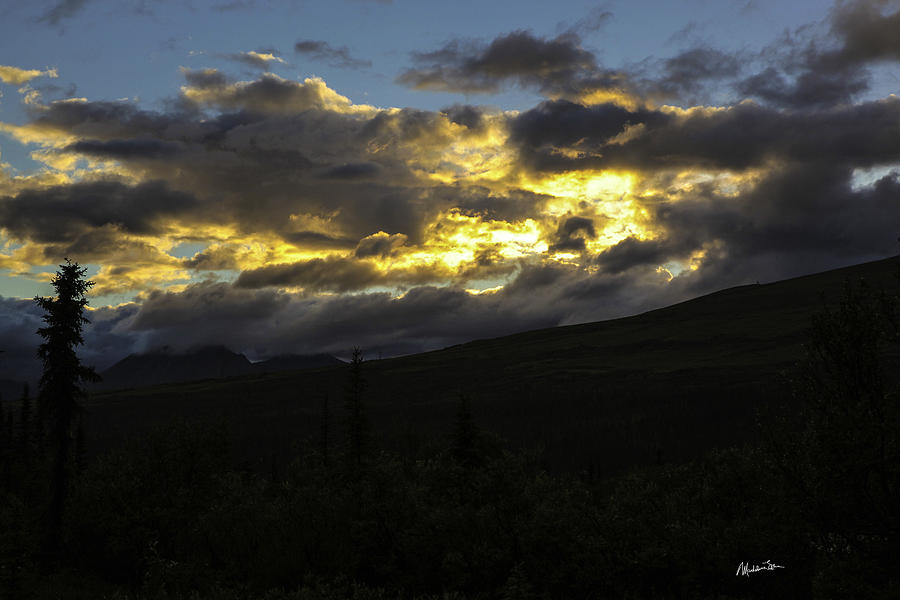 Gold In Skies of Alaska Photograph by Madeline Ellis