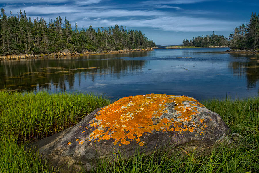 Gold Lichen Rock At Popes Harbour #1 Photograph by Irwin Barrett
