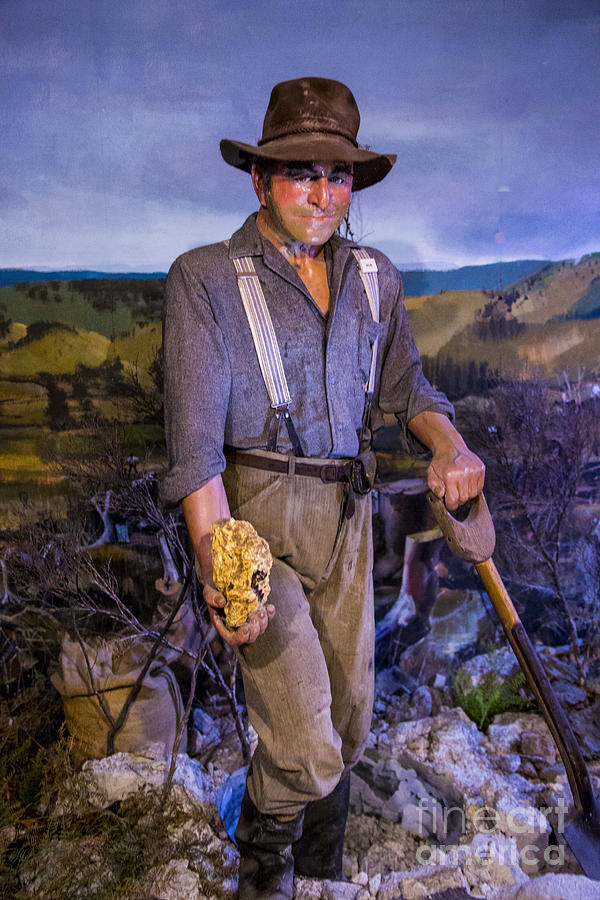 Gold Miner Photograph by Rick Bragan
