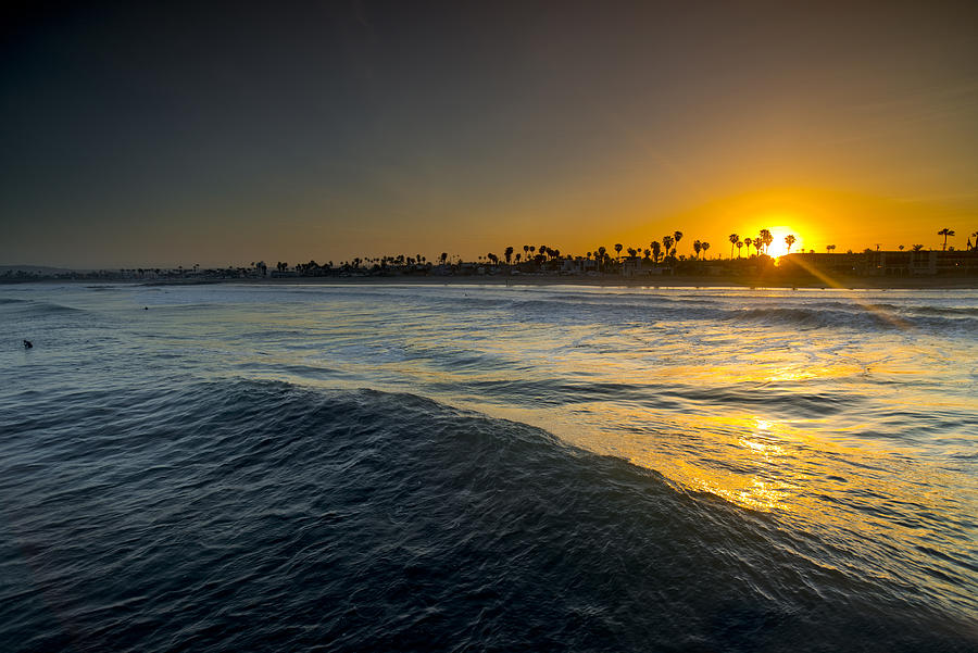 San Diego Photograph - Gold Morning by Sean Davey