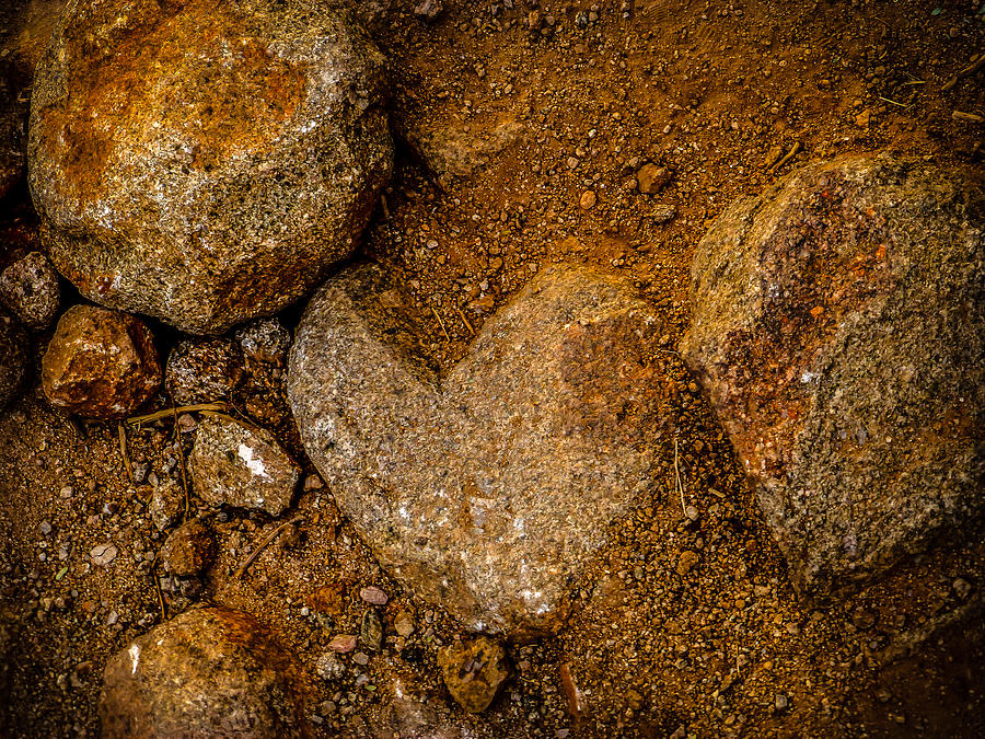Gold Nugget Heart Photograph by Pamela Newcomb