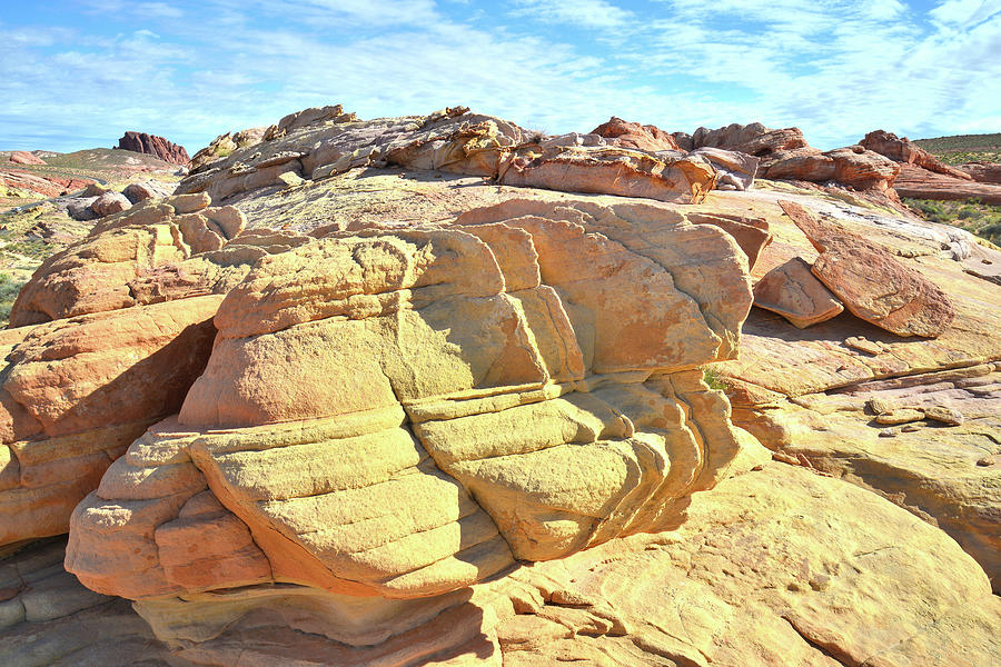Gold Nugget Sandstone in Valley of Fire Photograph by Ray Mathis