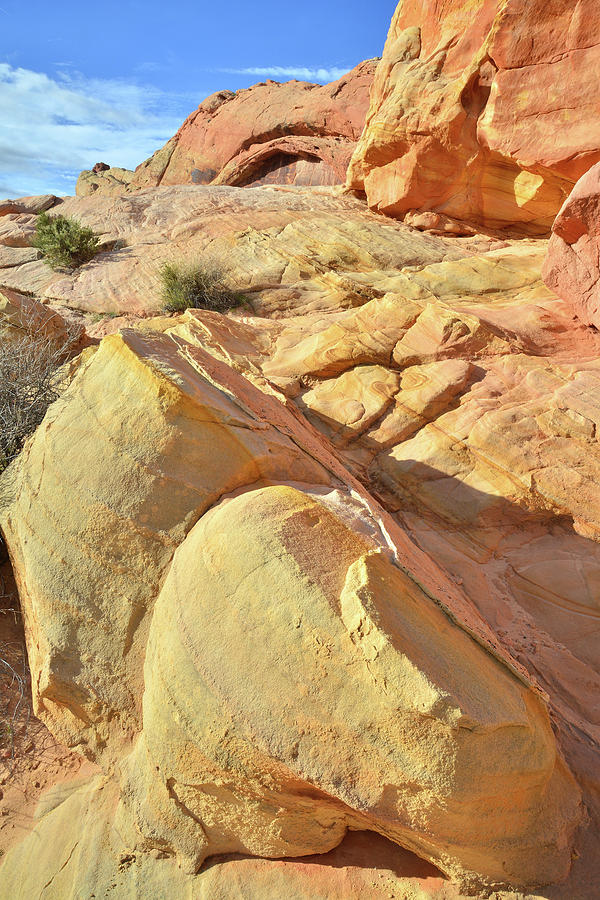 Gold Nuggets in Valley of Fire Photograph by Ray Mathis