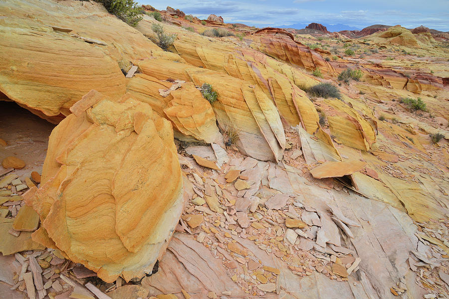 Gold Nuggets of Sandstone in Valley of Fire Photograph by Ray Mathis
