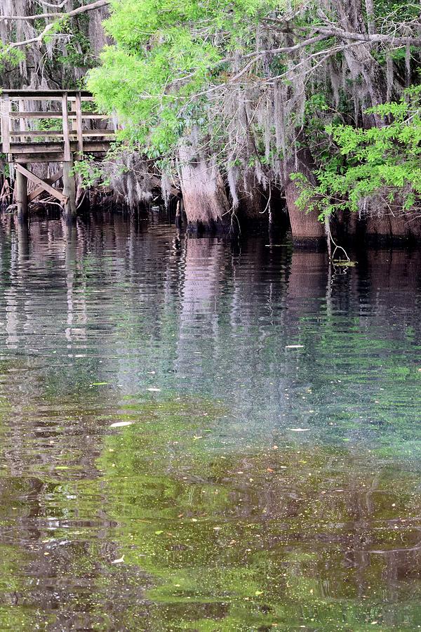 Gold of the Suwannee  Photograph by Sheri McLeroy
