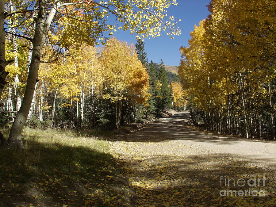 Gold On The Conejos Photograph by Bill Hyde - Fine Art America