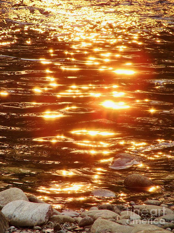 Nature Photograph - Gold on the River by Lorles Lifestyles