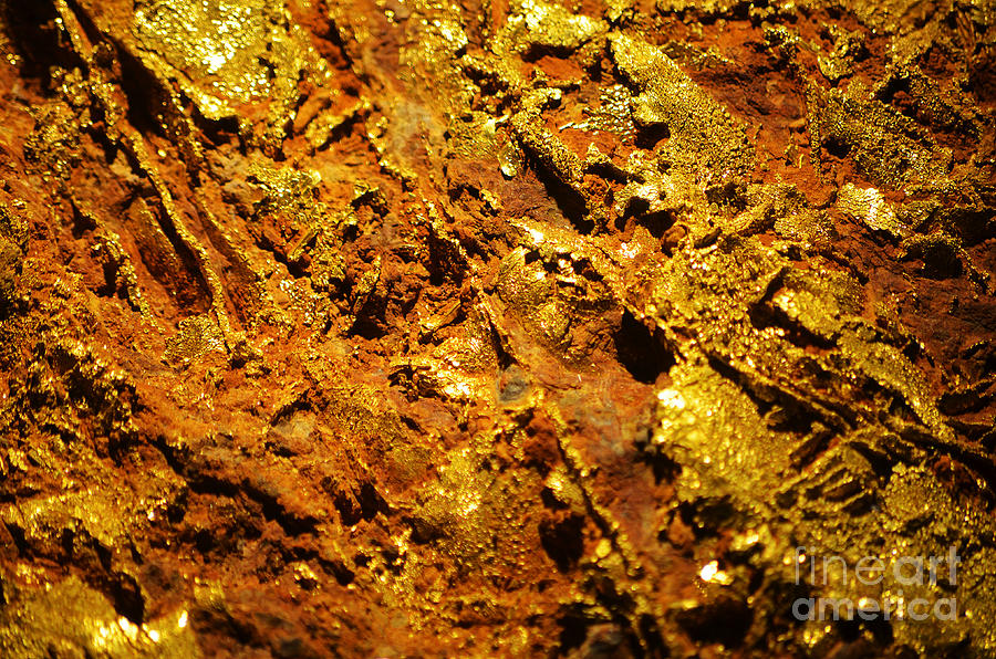 Gold Ore Natural Luster Macro Photograph by Shawn OBrien