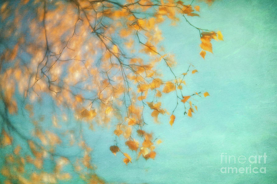 Fall Photograph - Gold by Priska Wettstein