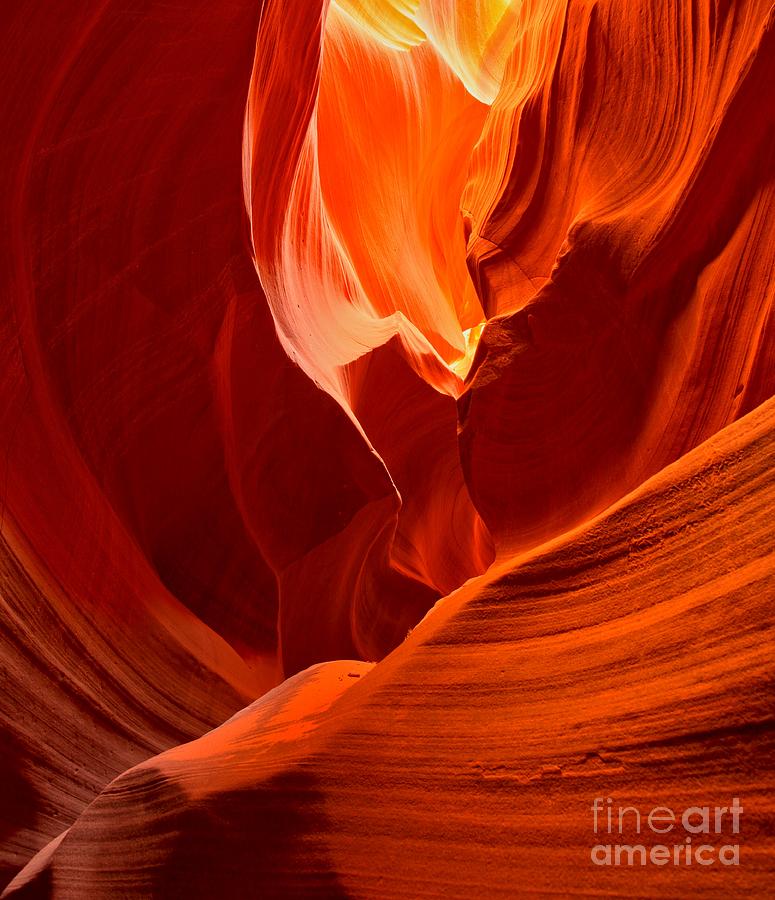 Gold Red And Orange Abstract Photograph by Adam Jewell