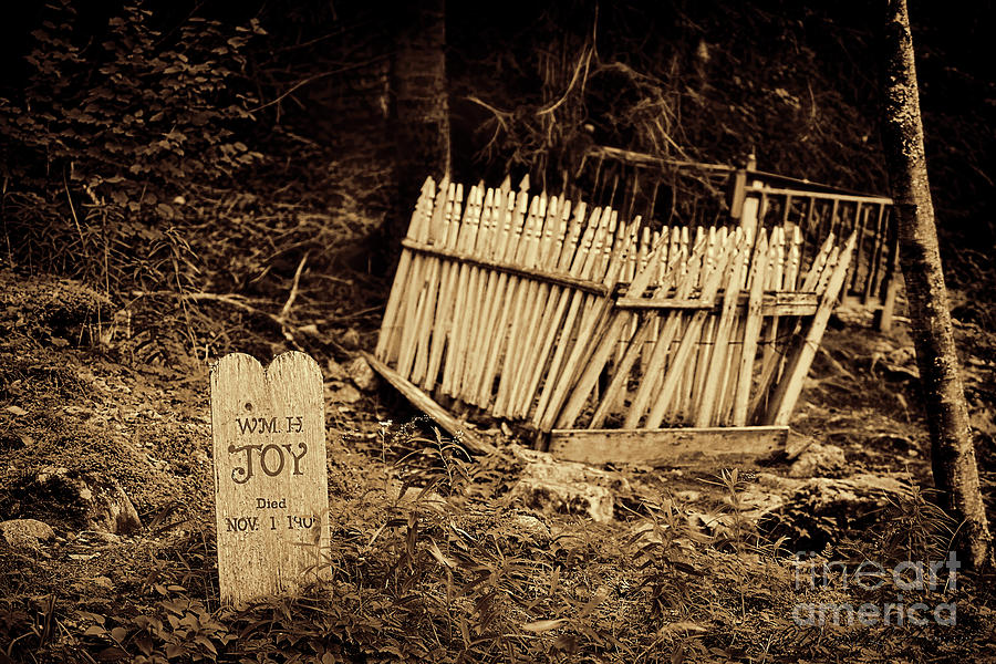 Gold Rush Graveyard Photograph by David Arment