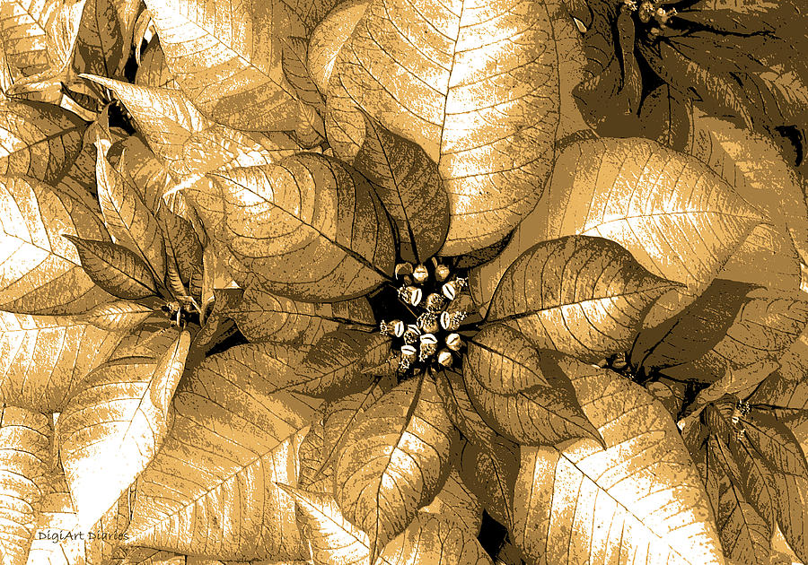 Gold Shimmer Digital Art by DigiArt Diaries by Vicky B Fuller