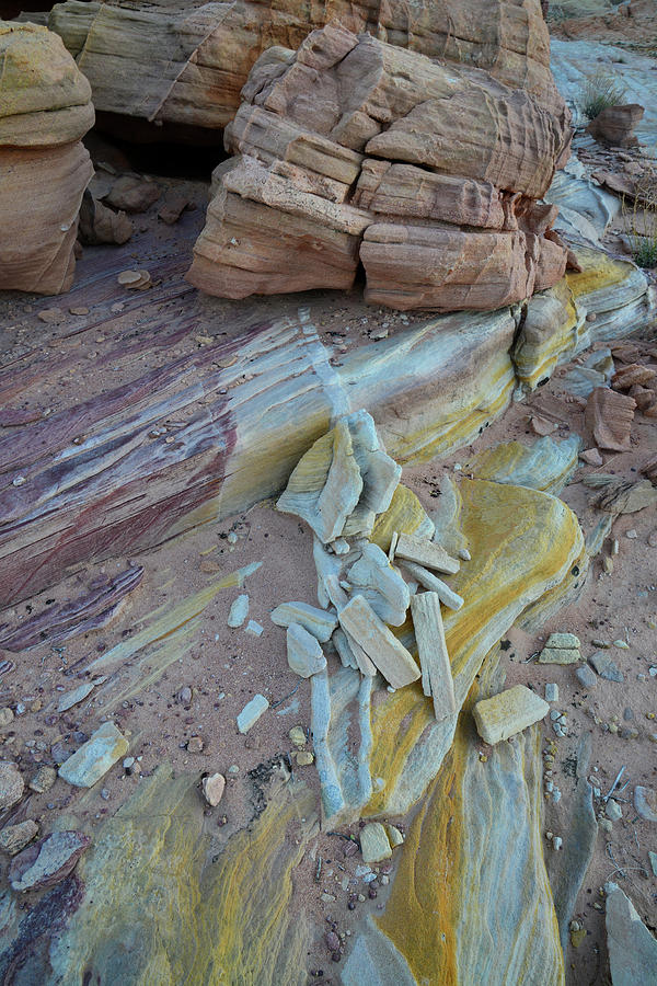 Gold Streak in Valley of Fire SP Photograph by Ray Mathis