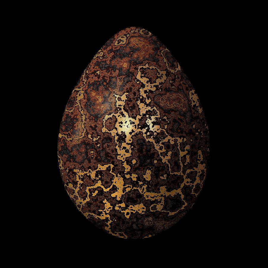 Gold-Streaked Egg Digital Art by Hakon Soreide