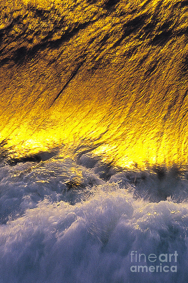 Nature Photograph - Gold Swirl  -  part 2 of 3 by Sean Davey