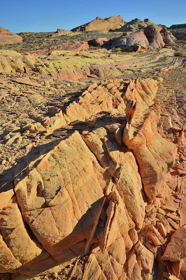 Gold Vein in Valley of Fire State Park Photograph by Ray Mathis