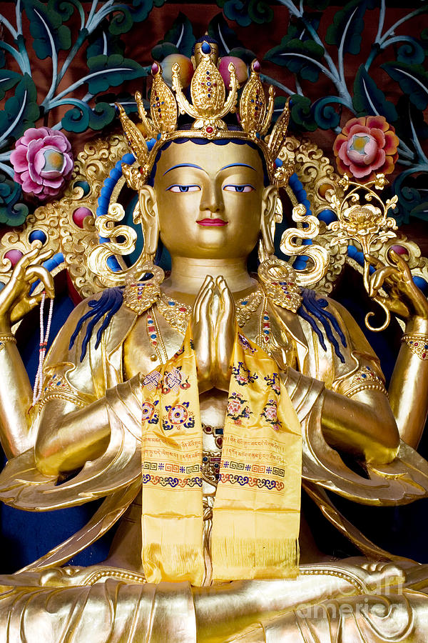 Buddha Photograph - Golden Amitaba Buddha Statue by Tim Gainey