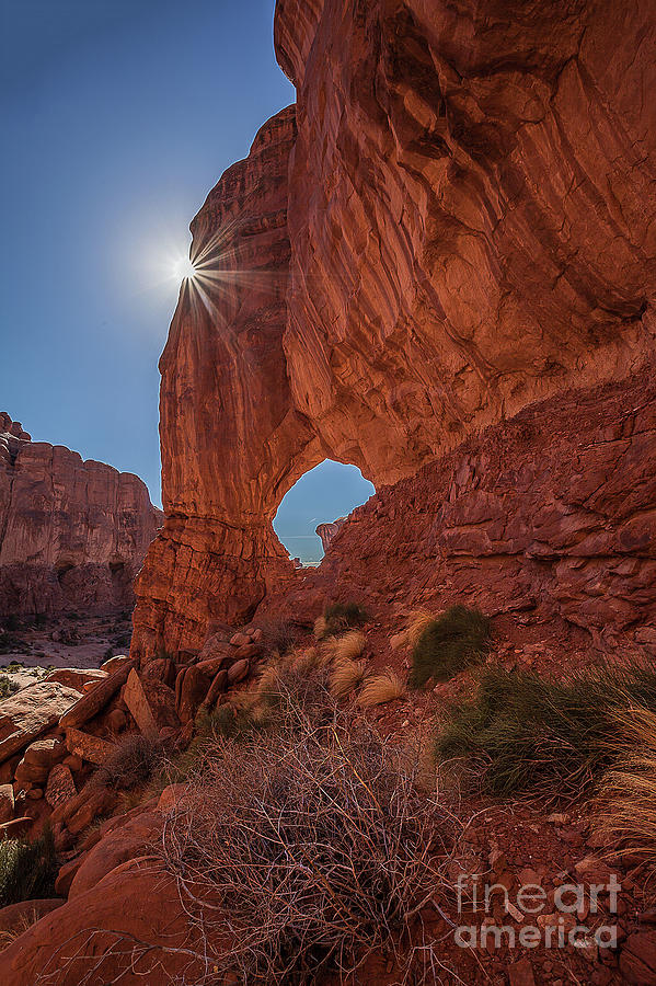 Golden Arch Photograph by Steven Reed