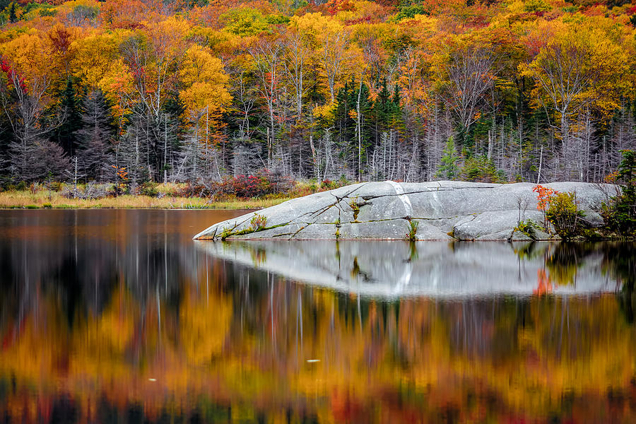 Fall Photograph - Golden Autumn by Black Brook Photography