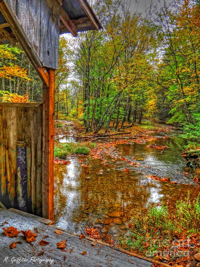 Bridge Photograph - Golden Autumn Days by Michael Griffiths