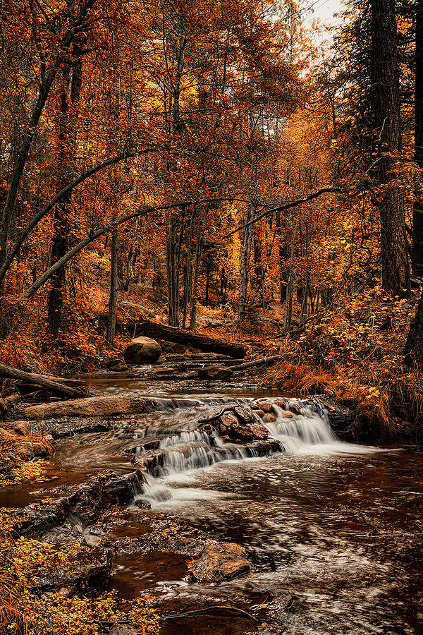 Golden Autumn Falls  Photograph by Saija Lehtonen