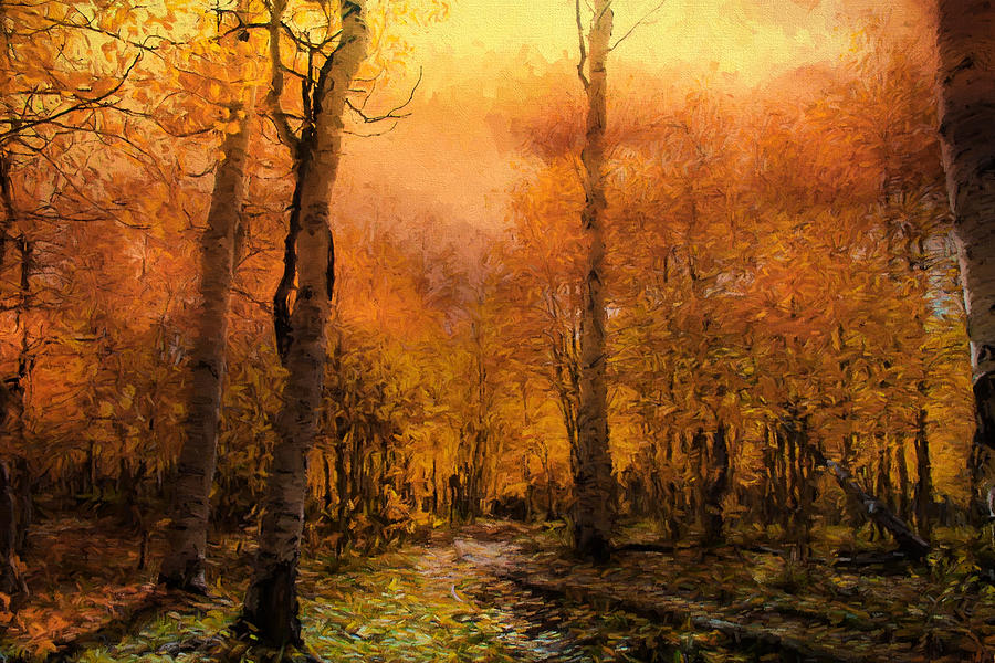Tree Photograph - Golden Autumn by Georgiana Romanovna