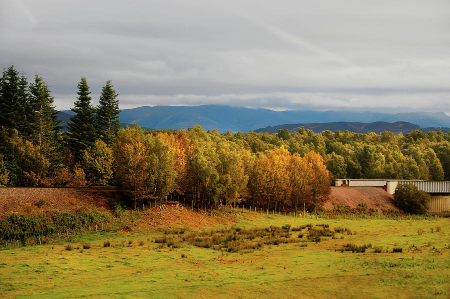 Mountain Photograph - Golden Autumn in Scotland by Jenny Rainbow