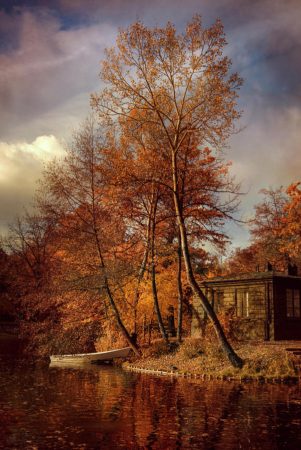 Golden autumn in the park Photograph by Jaroslaw Blaminsky