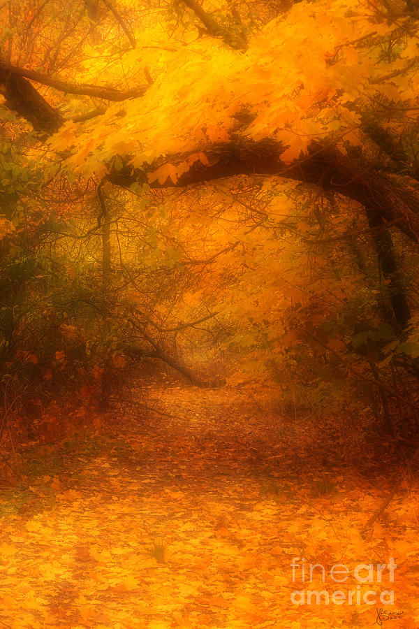Golden Autumn  Photograph by Jeff Breiman